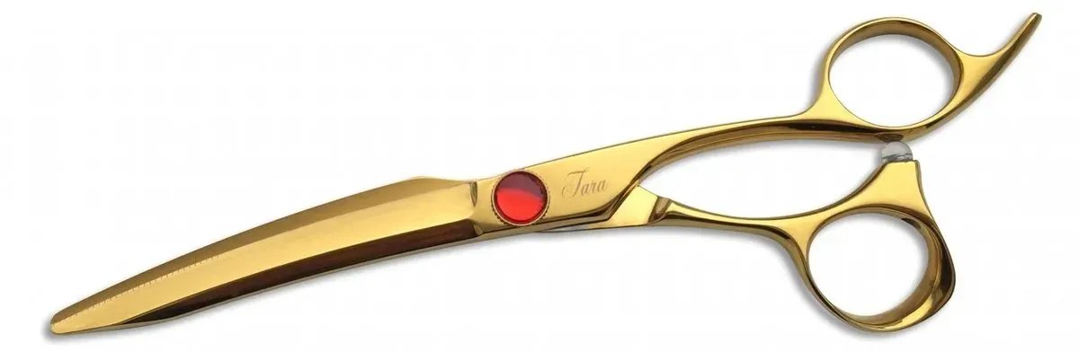 Best South Korean Scissor Brands for Value in 2026