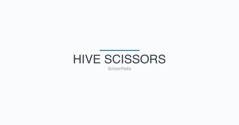 HIVE SCISSORS shears