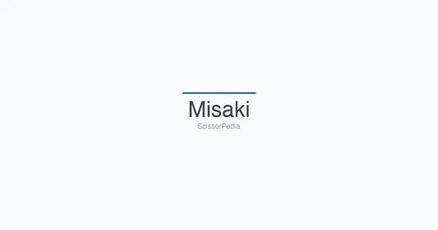Misaki shears