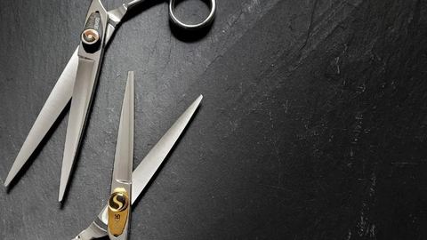Sensei shears