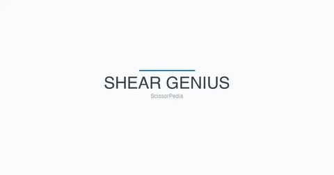 SHEAR GENIUS shears
