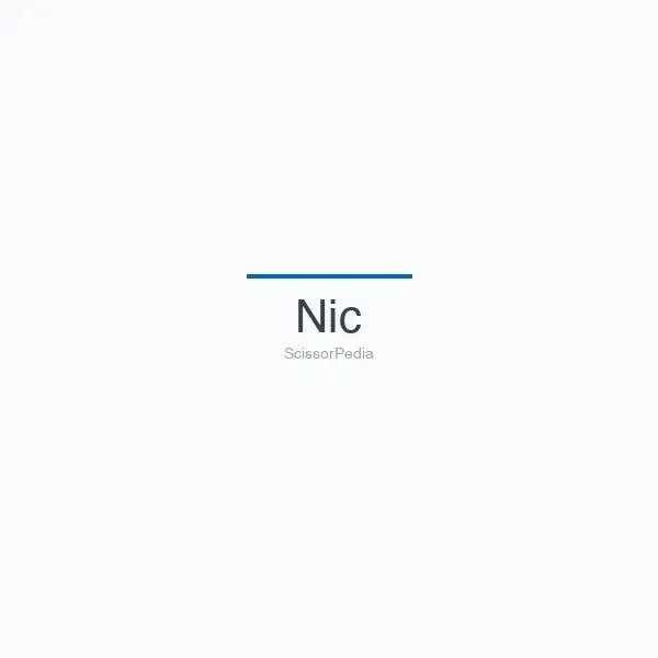 Nic logo