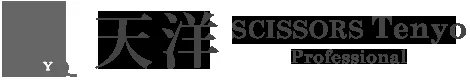 TENYO logo