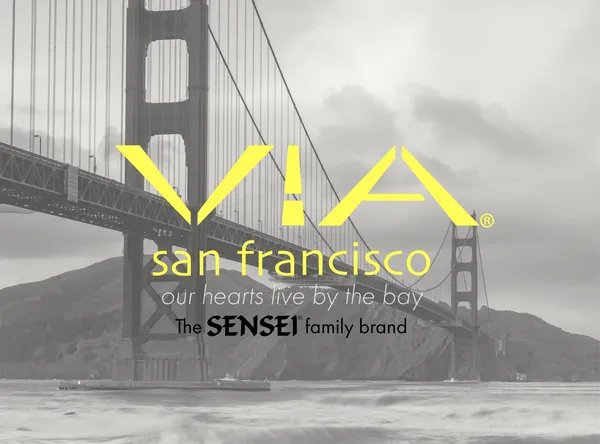 VIA logo